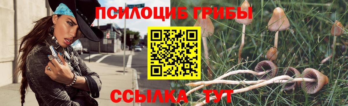 Галлюциногенные грибы Psilocybe  Вход с VPN  что такое наркотик  Шелехов  Псилоцибиновые грибы Magic Shrooms 