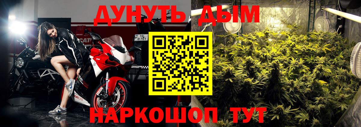 Шелехов  Марихуана OG Kush  Вход с VPN  Канабис план 